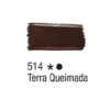 514 - Terra-Queimada