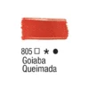 805 - Goiaba-Queimada